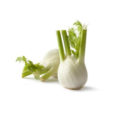 Fenchel