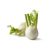 Fenchel
