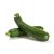 Zucchini