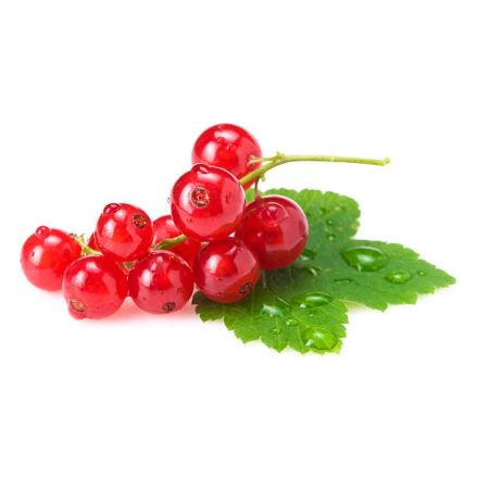 Johannisbeeren