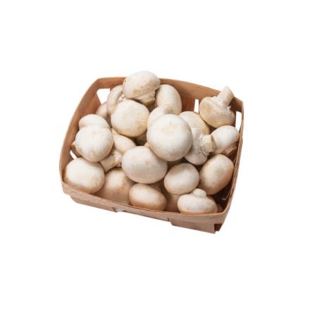 Champignons klein