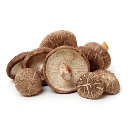 Shiitake