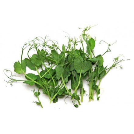 Affilia Cress